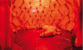 Colloque CEREAP : "La réception de l'art"