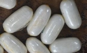 Trafic de cocaïne en Martinique : deux jeunes femmes arrêtées à l'aéroport Aimé Césaire