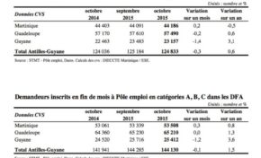 L'IMSEPP Blatter ...Jeff Lafontaine et Serge Letchimy déblatèrent