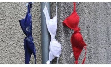 L'image du jour [28/11/15] France