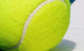 Coupe Davis de tennis : la Guadeloupe recevra bien France -Canada