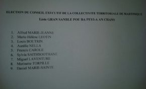 Conseil exécutif de la Collectivité Territoriale de Martinique