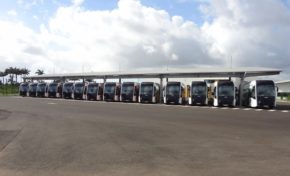 L'image du jour [29/12/15] Martinique