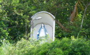 CTM : les commissions sectorielles sont composées