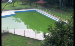 Zika : tout est sous contrôle en Martinique