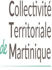 Grève à la Collectivité Territoriale de Martinique : message du président  Alfred Marie-Jeanne