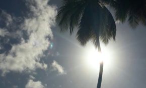 L'image du jour [10/01/16] Martinique