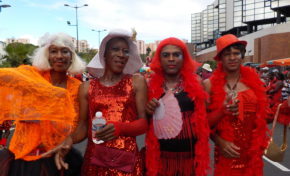 Mardi Gras à Fort-de-France : photos