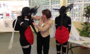 L'image du jour  [26/02/16] Martinique