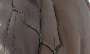 Reviens Patrick...les termites aiment tes totems