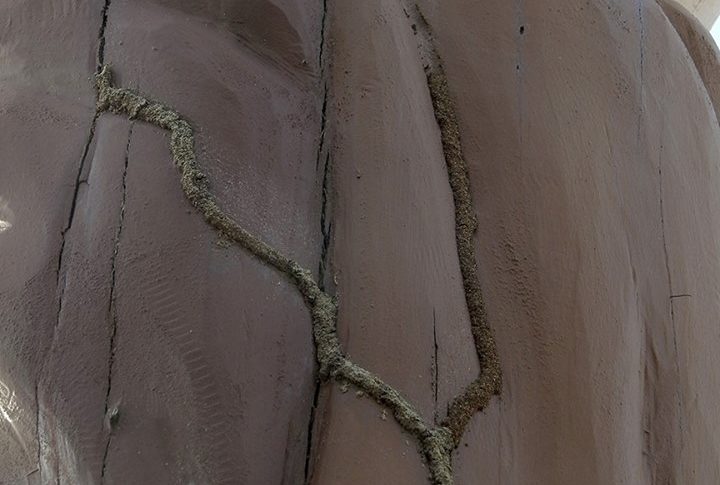 Reviens Patrick...les termites aiment tes totems