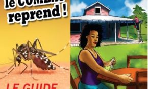 Le zika pour les nuls