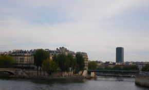 « Pour un racisme républicain », par Henry de Lesquen