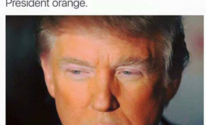 L'image du jour [11/03/16] Monde