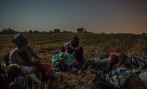 Prix Pulitzer de la photographie.