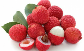 Martinique: vol au-dessus d'un déni de Vavaletchi