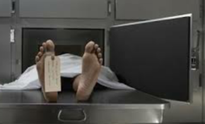 Ti Freddy a été refroidi