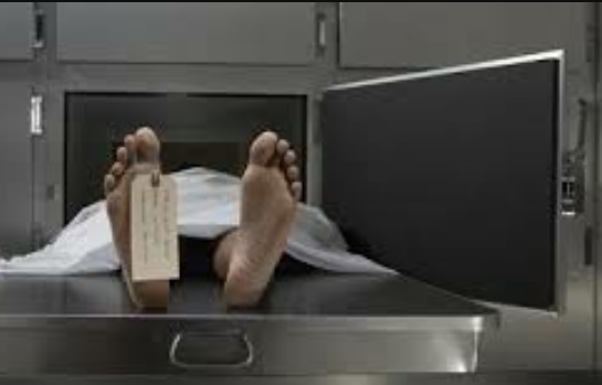 Ti Freddy a été refroidi