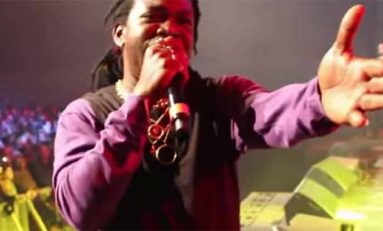 Van lévé. Akiyo (vidéo)