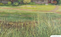 Au-Béraud à la Bibliothèque Schoelcher