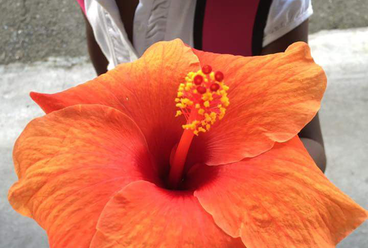 "Tiens maître  c'est pour toi"