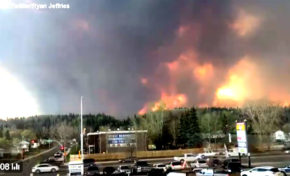 Vidéo du jour (Canada)