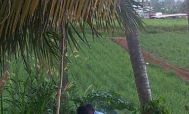 Fête des mères ? Fête d’un père