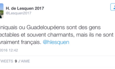 Le tweet du jour [08/06/16] Henri de Lesquen