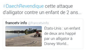 Le tweet du jour  [15/06/16] Alligator Daech Le Letchi