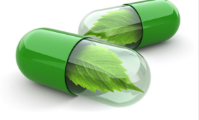 La rectrice met un terme à Laguerre du Lycée Schoelcher