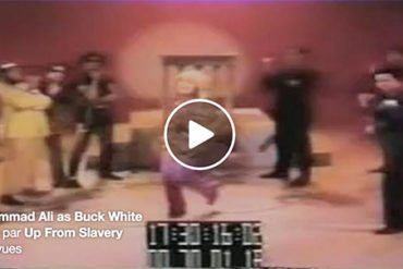 Thank You Muhammad Ali. (musique)