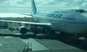 Vol au-dessus d'un nid de coucous