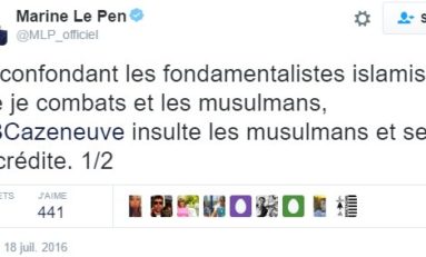 Canicule : Marine Le Pen victime d'une insolation ?