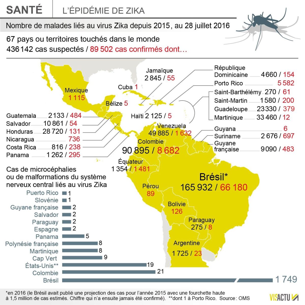 Zika la Martinique championne du monde de la nonconfirmation