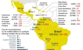 Zika : la Martinique championne du monde de la non-confirmation.
