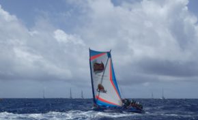 #TDY 2016 : Victoire de Zapetti/Gerblé/Appaloosa au Vauclin