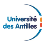 CORINNE MENCÉ-CASTER MET FIN À SON MANDAT  DE PRÉSIDENTE DE L’UNIVERSITÉ DES ANTILLES