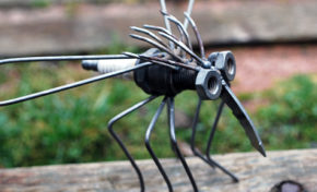 Un vermifuge pourrait être capable de stopper le virus zika