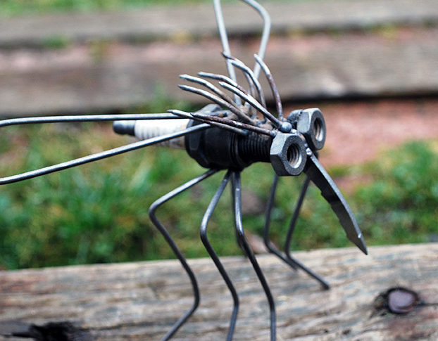 Un vermifuge pourrait être capable de stopper le virus zika