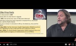 Le doute s'installe autour du Zika... (vidéos)