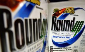 Baygon rachète le RoundUp, bon appétit. (+ vidéo)