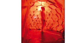 "40 entretiens d'artistes - Martinique, Guadeloupe"