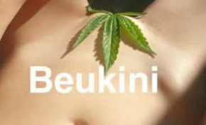 La beukini nouveau gazon maudit en France ?