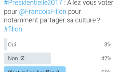 [RÉSULTATS DU SONDAGE] Présidentielle 2017 : Allez vous voter pour Francois Fillon pour notamment partager sa culture ?