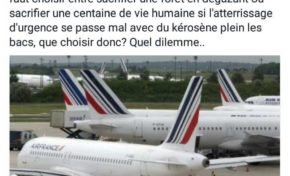 Sauve un arbre, plante un avion.