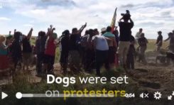 USA : ils lâchent les chiens sur les Amérindiens (vidéo)