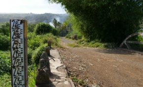 Réserve naturelle nationale de l'étang Saint-Paul : A la découverte des patrimoines de la réserve naturelle en vélo - Journées Européennes du Patrimoine à la Réunion