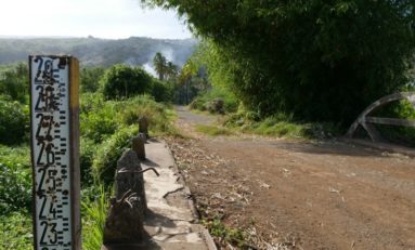 Réserve naturelle nationale de l'étang Saint-Paul : A la découverte des patrimoines de la réserve naturelle en vélo - Journées Européennes du Patrimoine à la Réunion