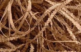 Pointe-Noire - Animations diverses - Journées Européennes du Patrimoine 2016 (Guadeloupe)