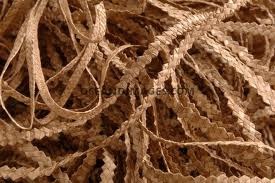 Pointe-Noire – Animations diverses – Journées Européennes du Patrimoine 2016 (Guadeloupe)